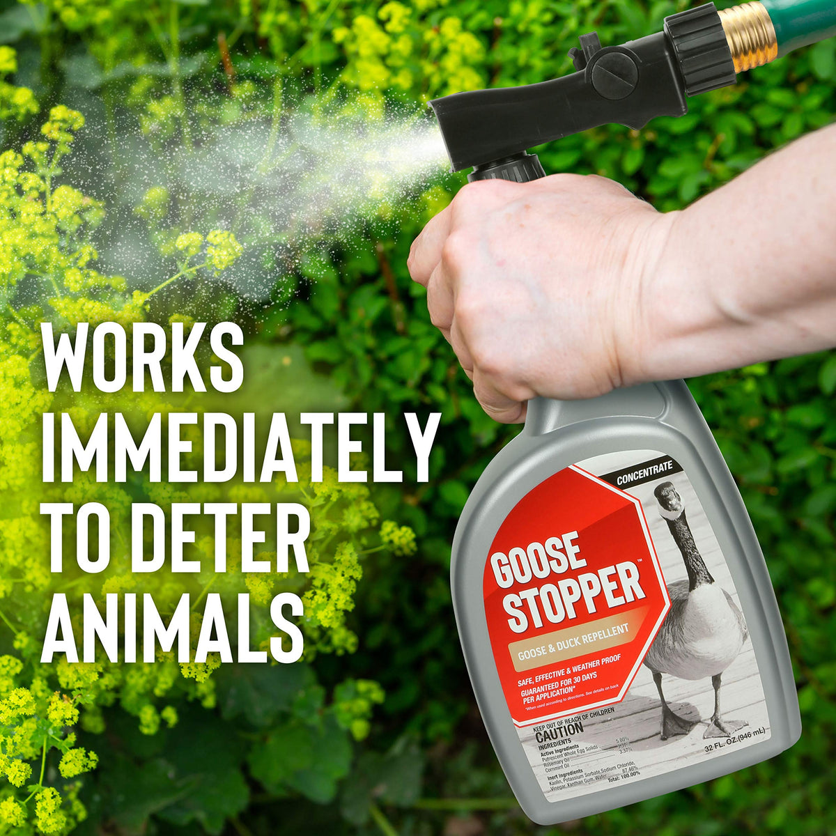 Messinas Goose Stopper dilution-mixing demonstrates ready-to-use or dilute options for larger areas