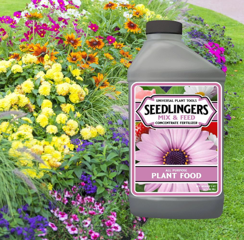 Messinas Seedlingers measuring spoon highlights precise dilution for feeding