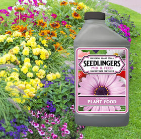 Messinas Seedlingers measuring spoon highlights precise dilution for feeding