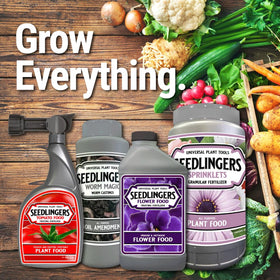 Messinas Seedlingers show-stopping blooms and abundant fruit from regular feeding