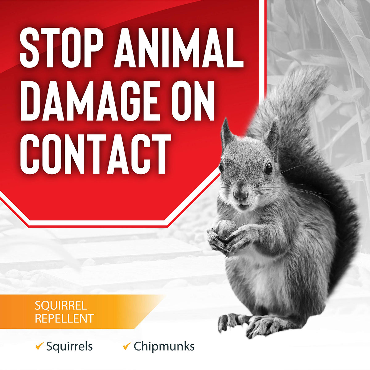 Messinas Squirrel Stopper spray mist application enables quick deterrence around feeders and outdoor areas.