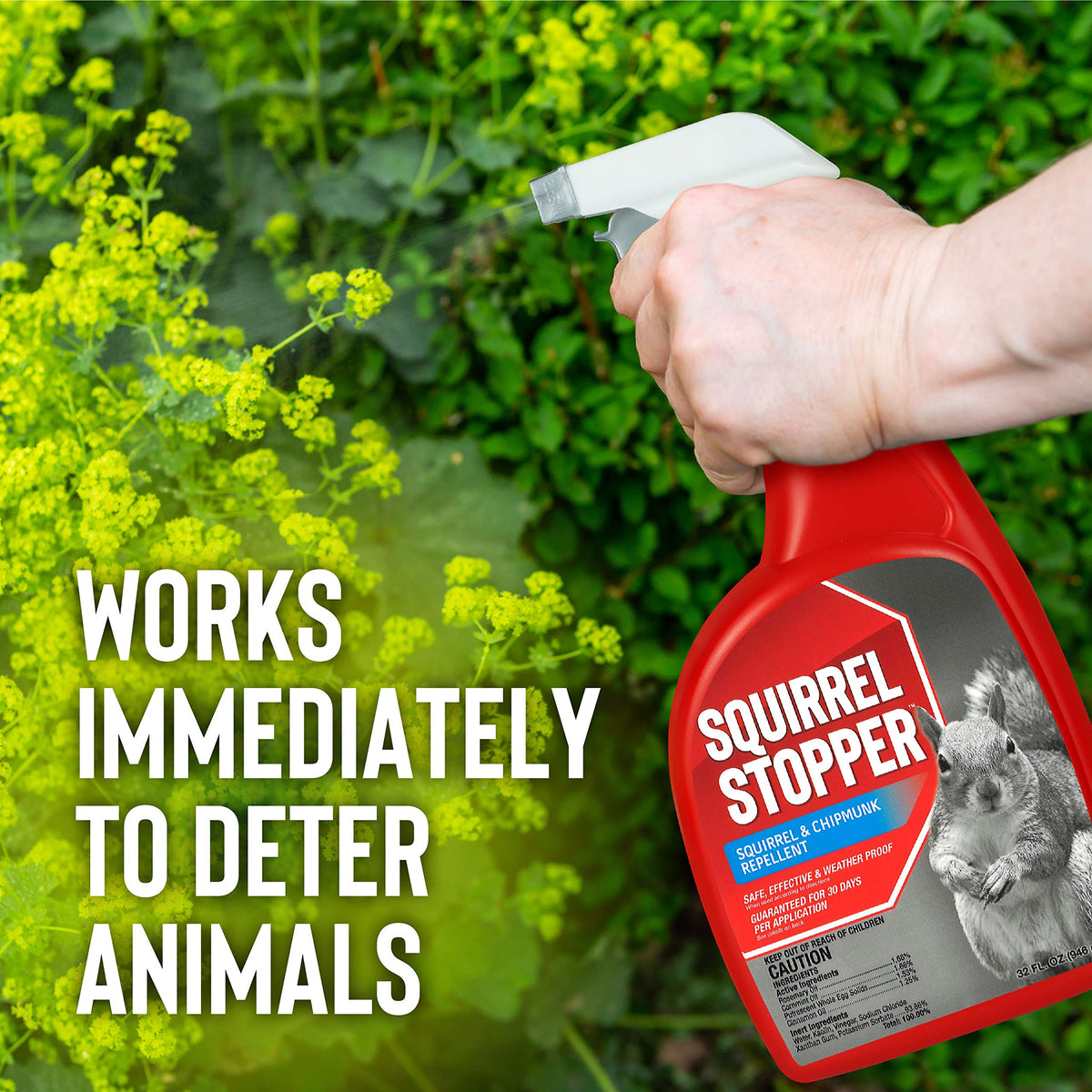 Messinas Squirrel Stopper spray applied on outdoor surfaces protects patios and garages.