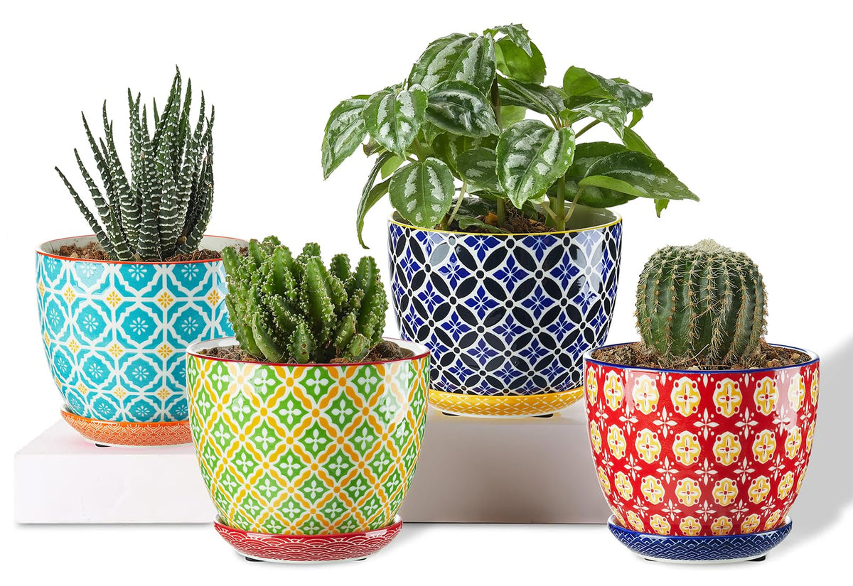 Metahom ceramic plant pot with drainage hole ideal for healthy succulents.