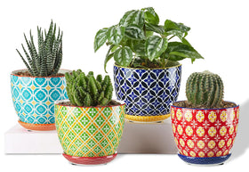 Metahom ceramic plant pot with drainage hole ideal for healthy succulents.