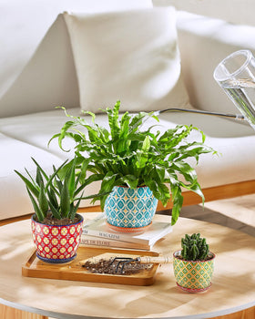 Metahom gift-ready ceramic pot set for plant lovers.