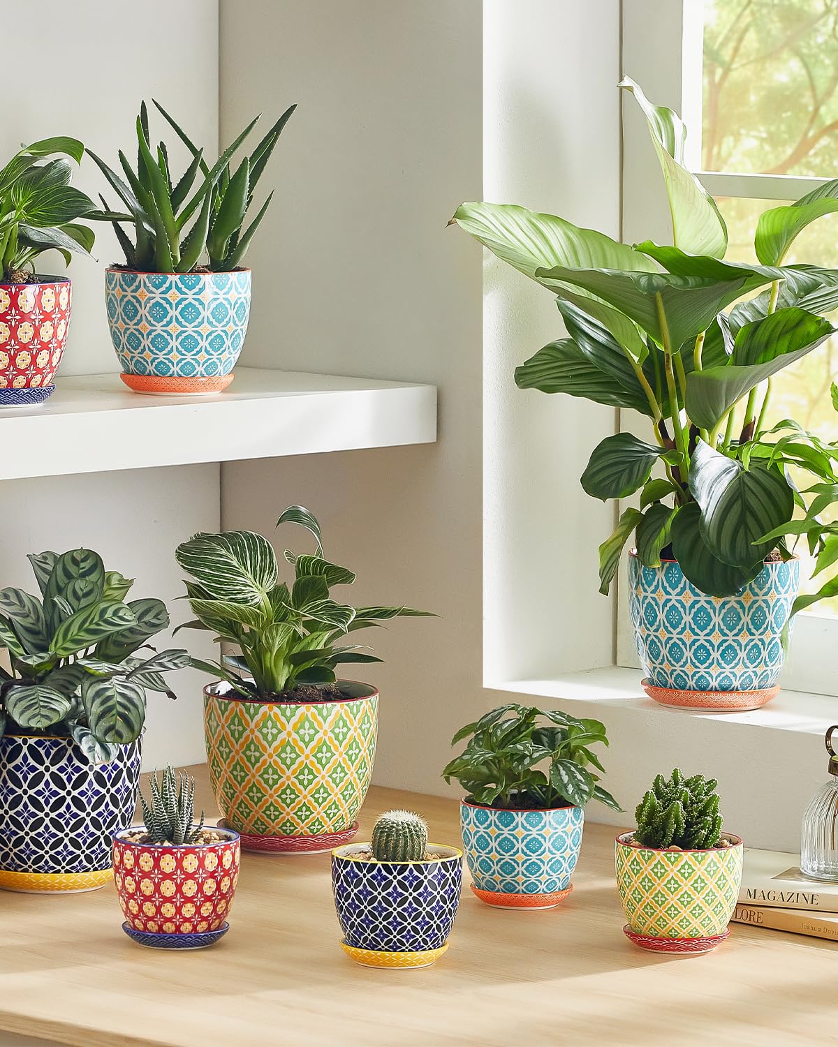 Metahom indoor-outdoor ceramic pot set stands up to daily use.