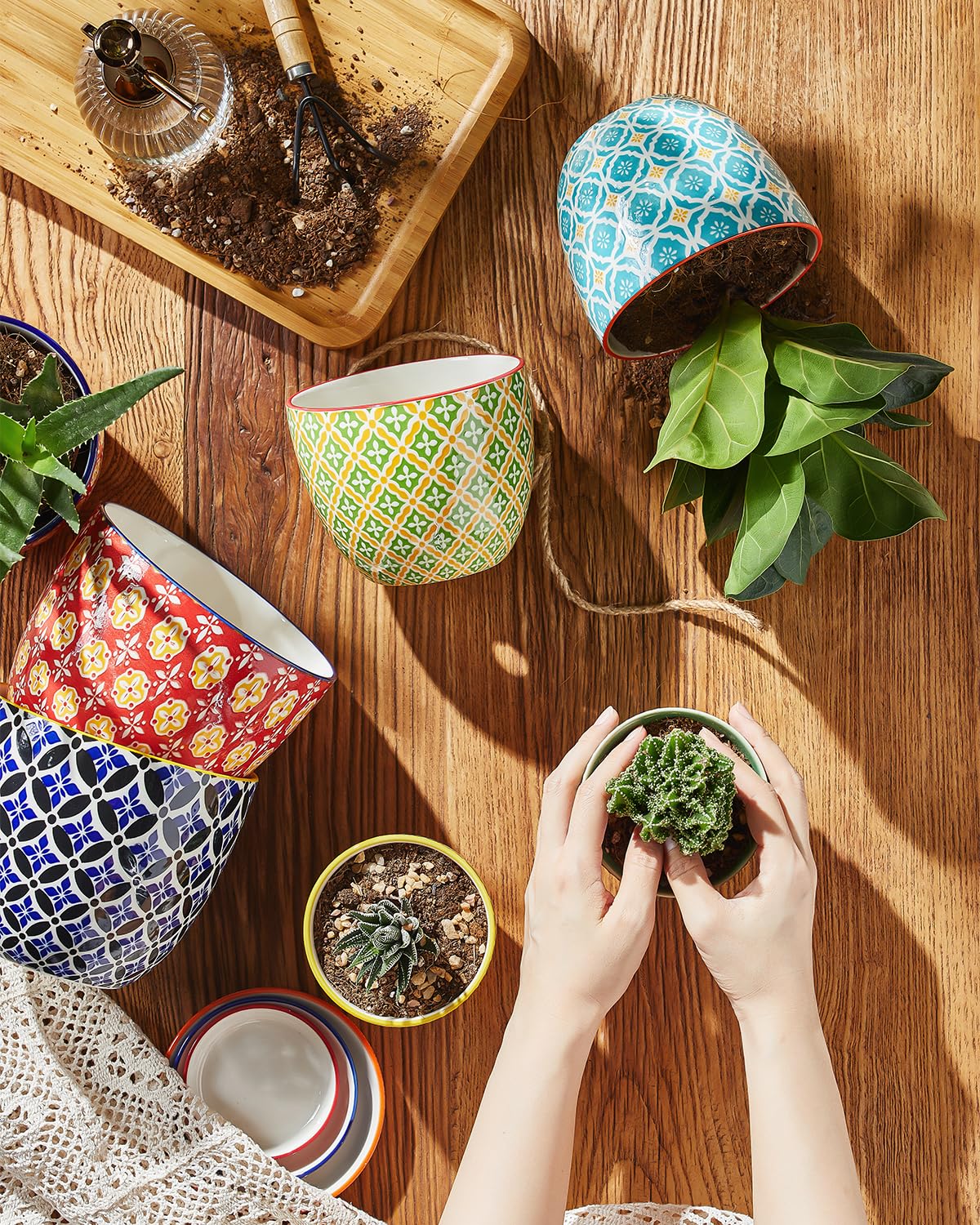 Metahom four-pack display on shelf demonstrates cohesive home decor.
