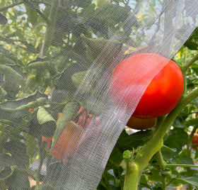 Meuallikit garden netting in action over a fruit bed protecting crops while letting air through