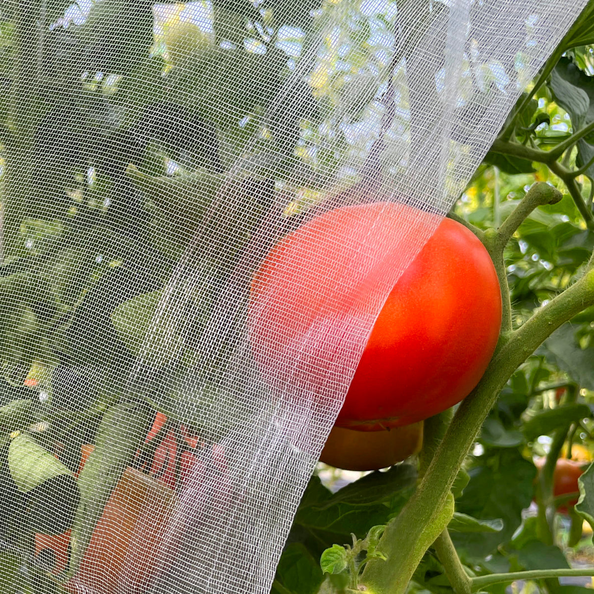 Meuallikit garden netting 10x33 cover shields plants while allowing air and light