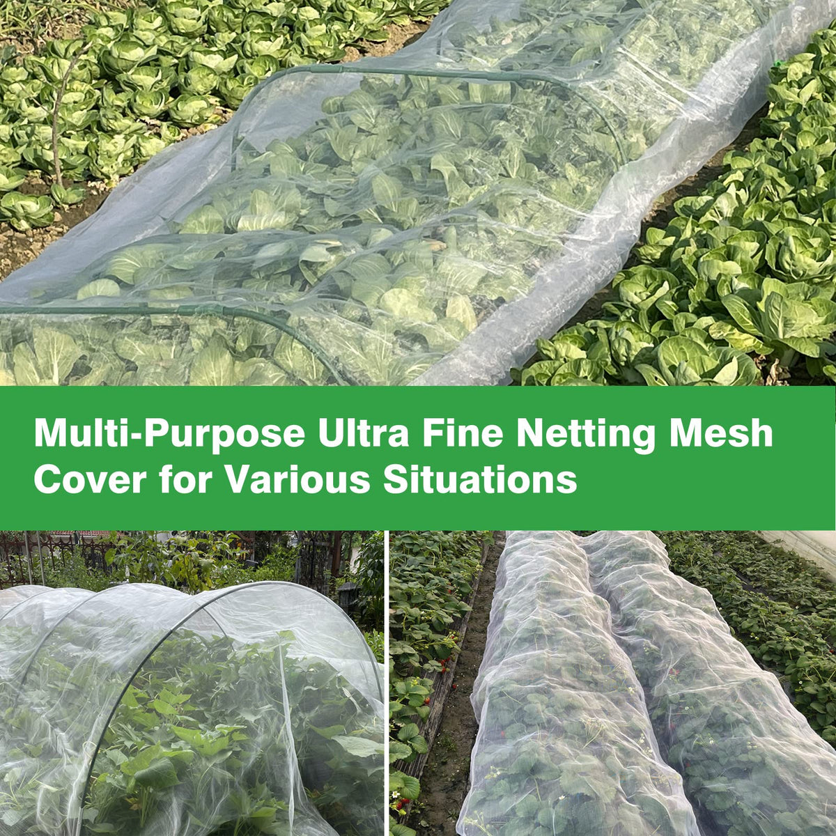 Meuallikit greenhouse setup with netting over seedlings and gentle light