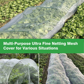 Meuallikit greenhouse setup with netting over seedlings and gentle light