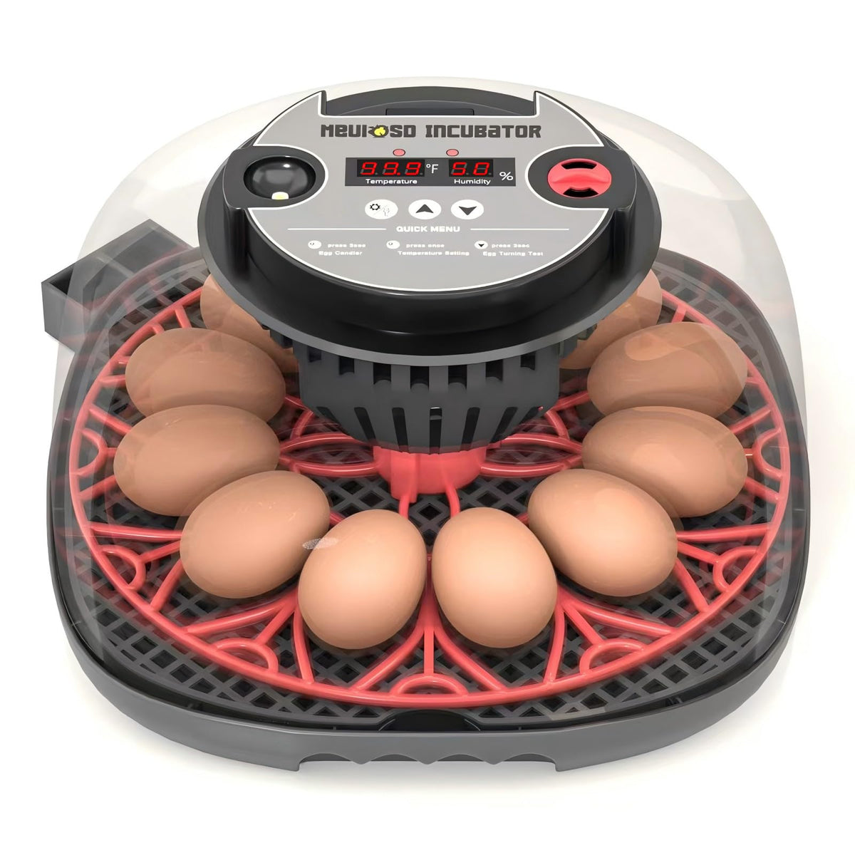 Meuiosd egg incubator with 360° view for clear observation and classes