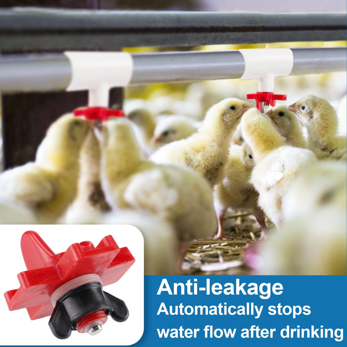 MEWTOGO ABS plastic and stainless steel nipples resist wear and leakage.