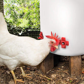MEWTOGO kit prevents bedding from dirtying water during feeding.