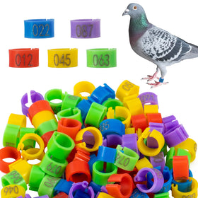 MEWTOGO bird leg bands 100-piece set for clear flock ID.