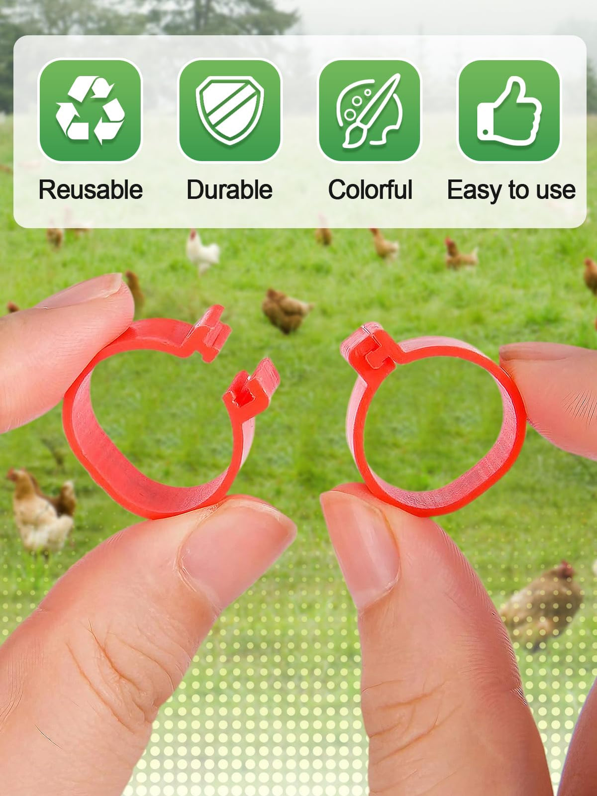 MEWTOGO identification bands suit chickens, ducks, chicks, geese, turkeys.