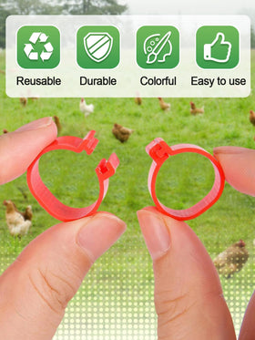 MEWTOGO identification bands suit chickens, ducks, chicks, geese, turkeys.