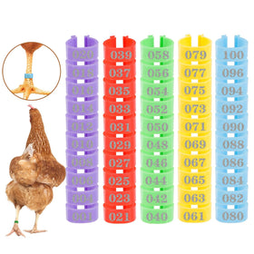 MEWTOGO chicken leg rings in colorful 100-piece set for easy flock ID.