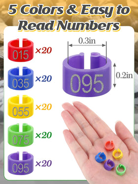 MEWTOGO colorful leg rings in yellow blue purple red green.