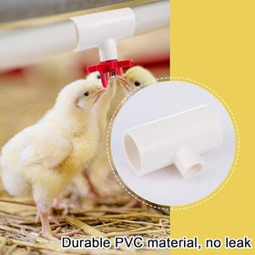 MEWTOGO durable PVC material withstands busy farm environments.