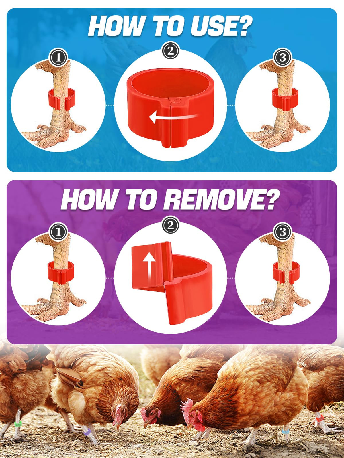 MEWTOGO color codes reduce mix-ups during flock management.