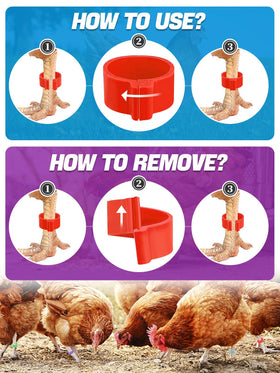 MEWTOGO color codes reduce mix-ups during flock management.