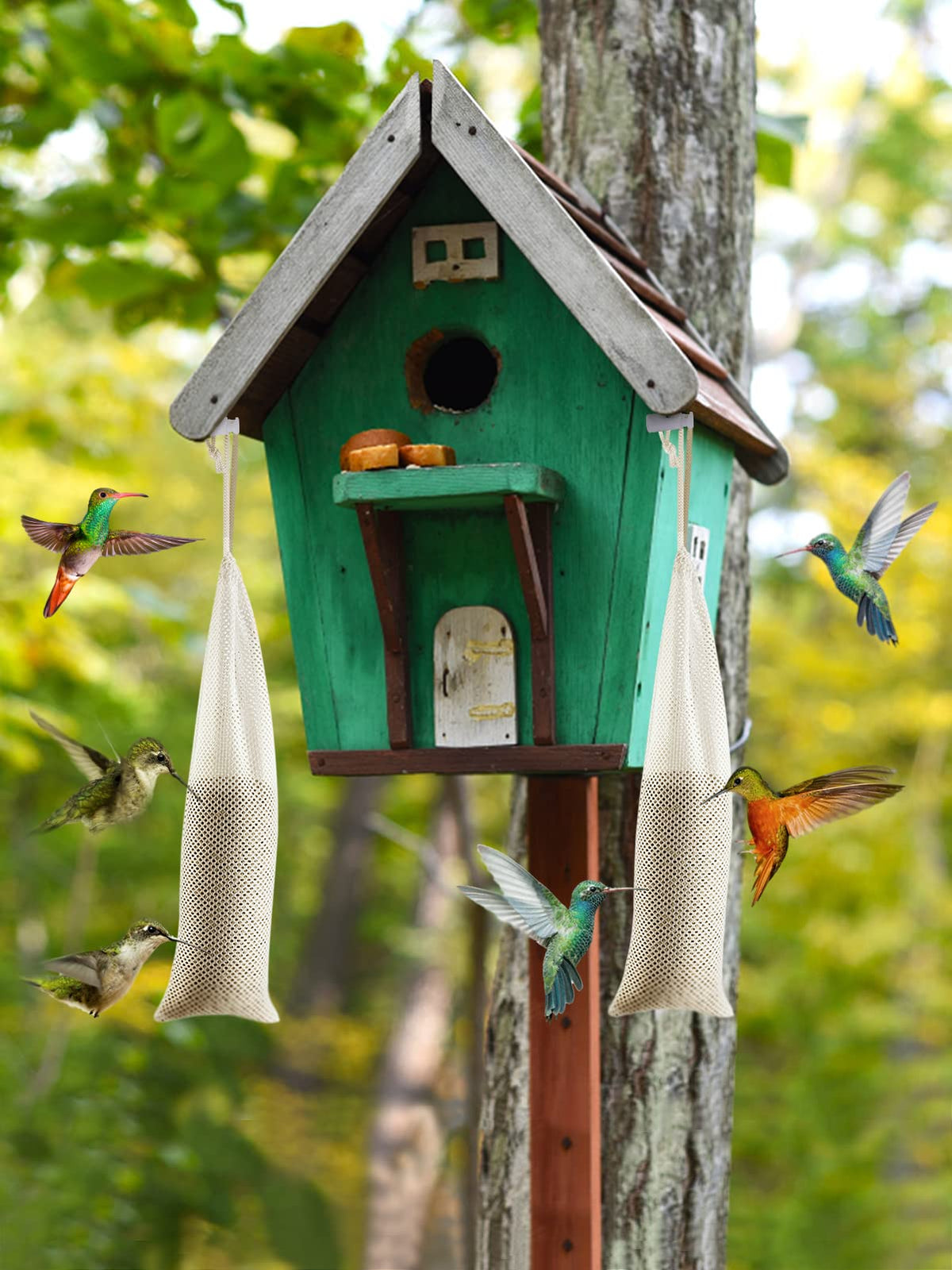 MEWTOGO finch feeder hanging setup on a tree encourages steady visits.