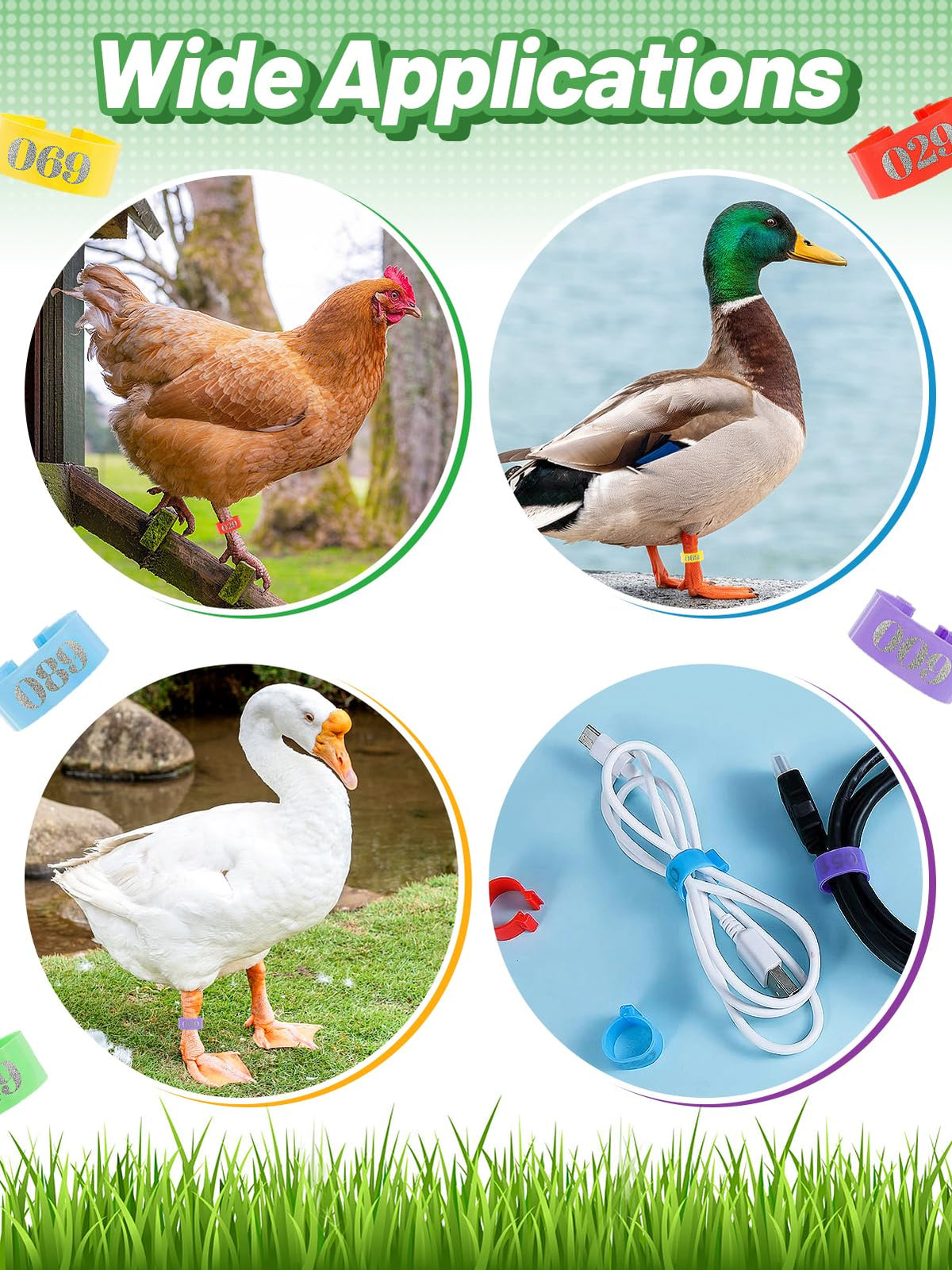 MEWTOGO leg bands support humane, adjustable sizing for growing poultry.
