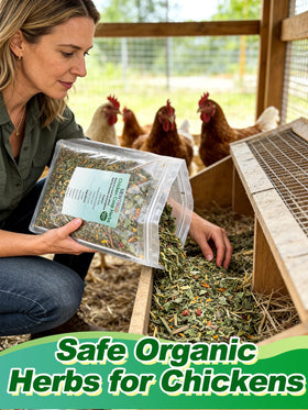 MEWTOGO natural dried herbs blend for poultry nest comfort
