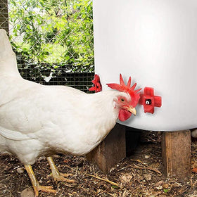 MEWTOGO nipple waterer gasket set ensures leak-free connections for stable operation.