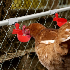 MEWTOGO waterer-compatible fittings suit chickens, ducks, quail, rabbits.