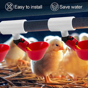 MEWTOGO threaded connection reduces leaks for reliable poultry water supply.