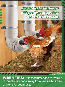 MEWTOGO wall-mounted design saves coop space and keeps feed dry