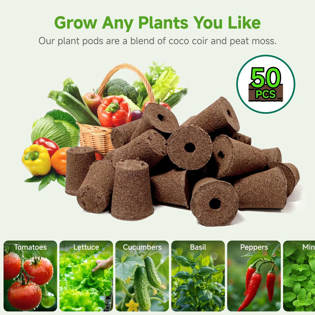 Transplant-friendly sponge minimizes root disturbance during transplanting.
