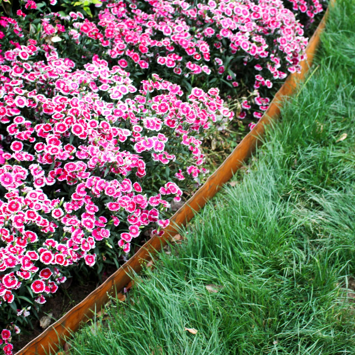 Meyoppm lawn and flower bed edging creates clear, neat borders.
