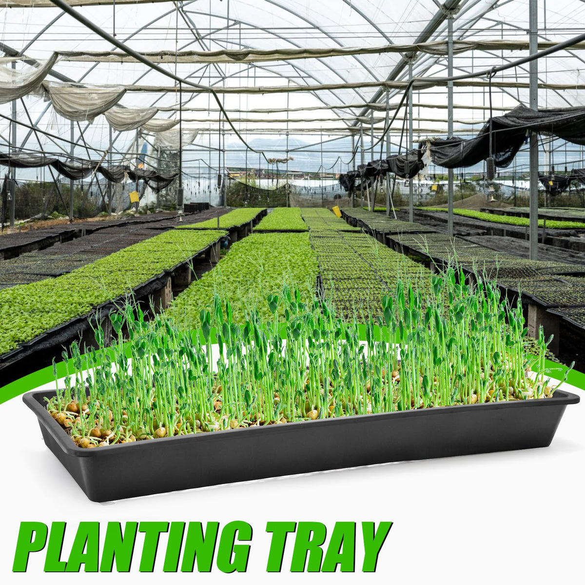 Mezchi black seed starter tray ready for busy gardening seasons.