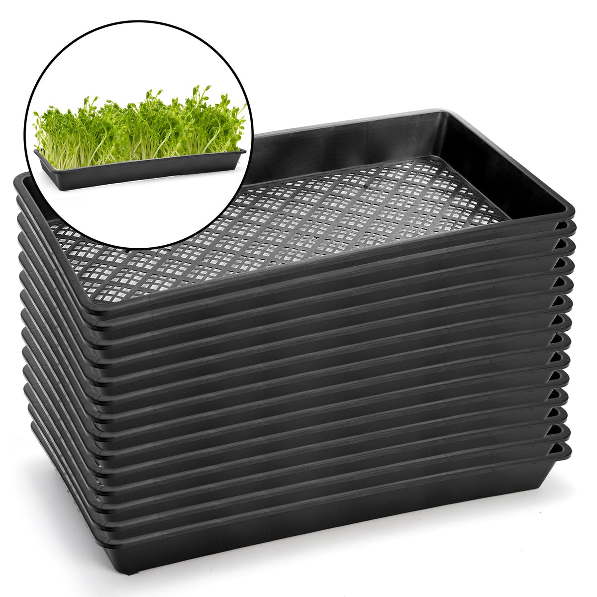 Mezchi mesh-bottom tray promotes air circulation around roots.