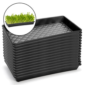 Mezchi mesh-bottom tray promotes air circulation around roots.