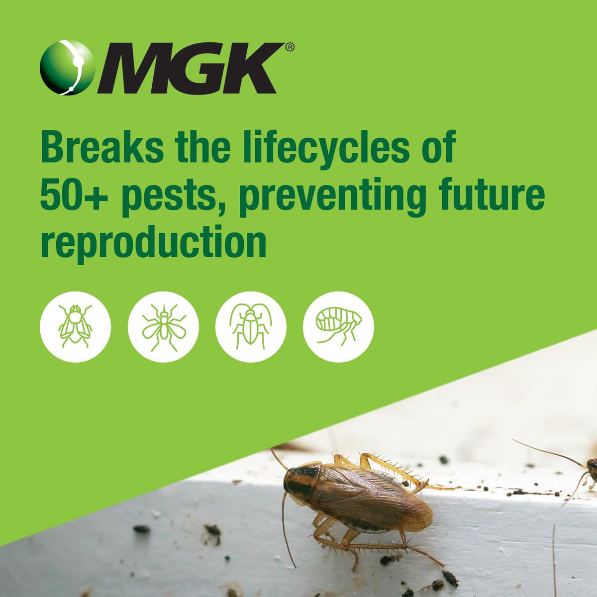 MGK NyGuard IGR concentrate ready for outdoor application in the yard.