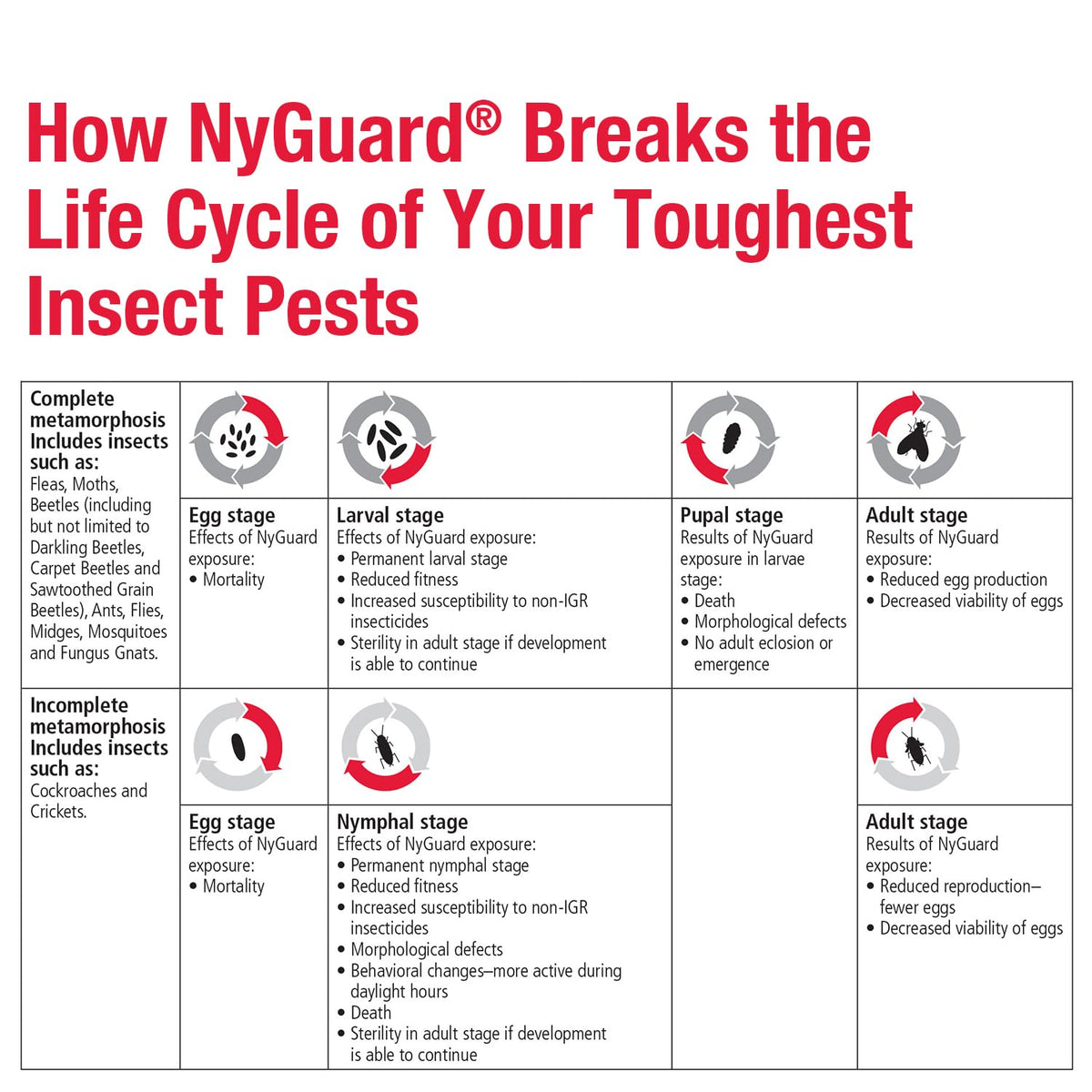 MGK NyGuard IGR concentrate packaging shows 140 ml size.