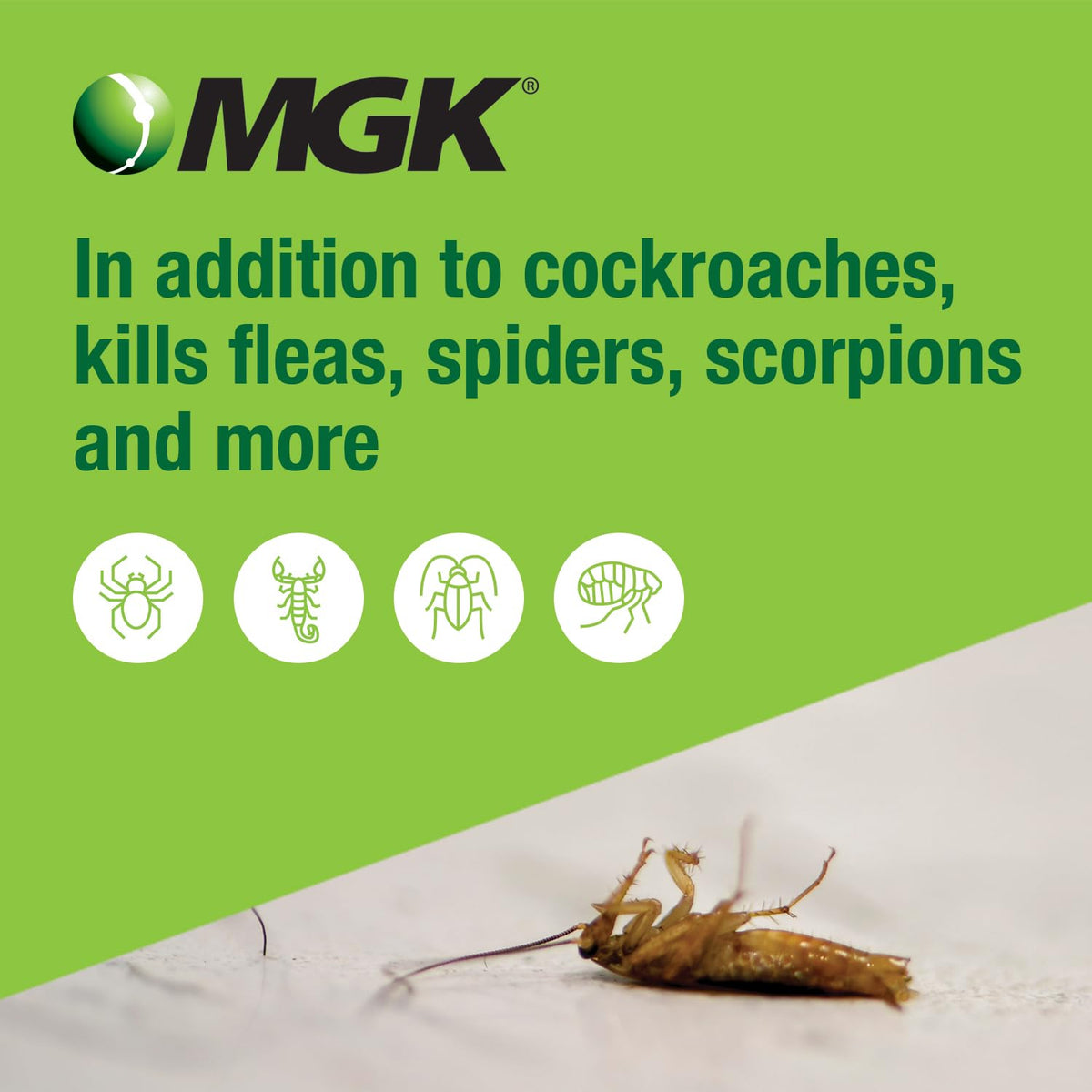 Close-up of Shockwave 1 spray targeting cracks and crevices for roaches.