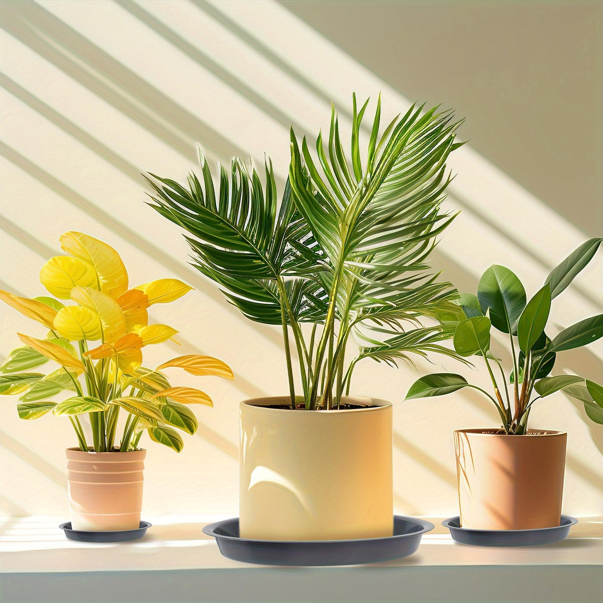 MHXWNHA plant saucer durable PP material designed for heavier pots.
