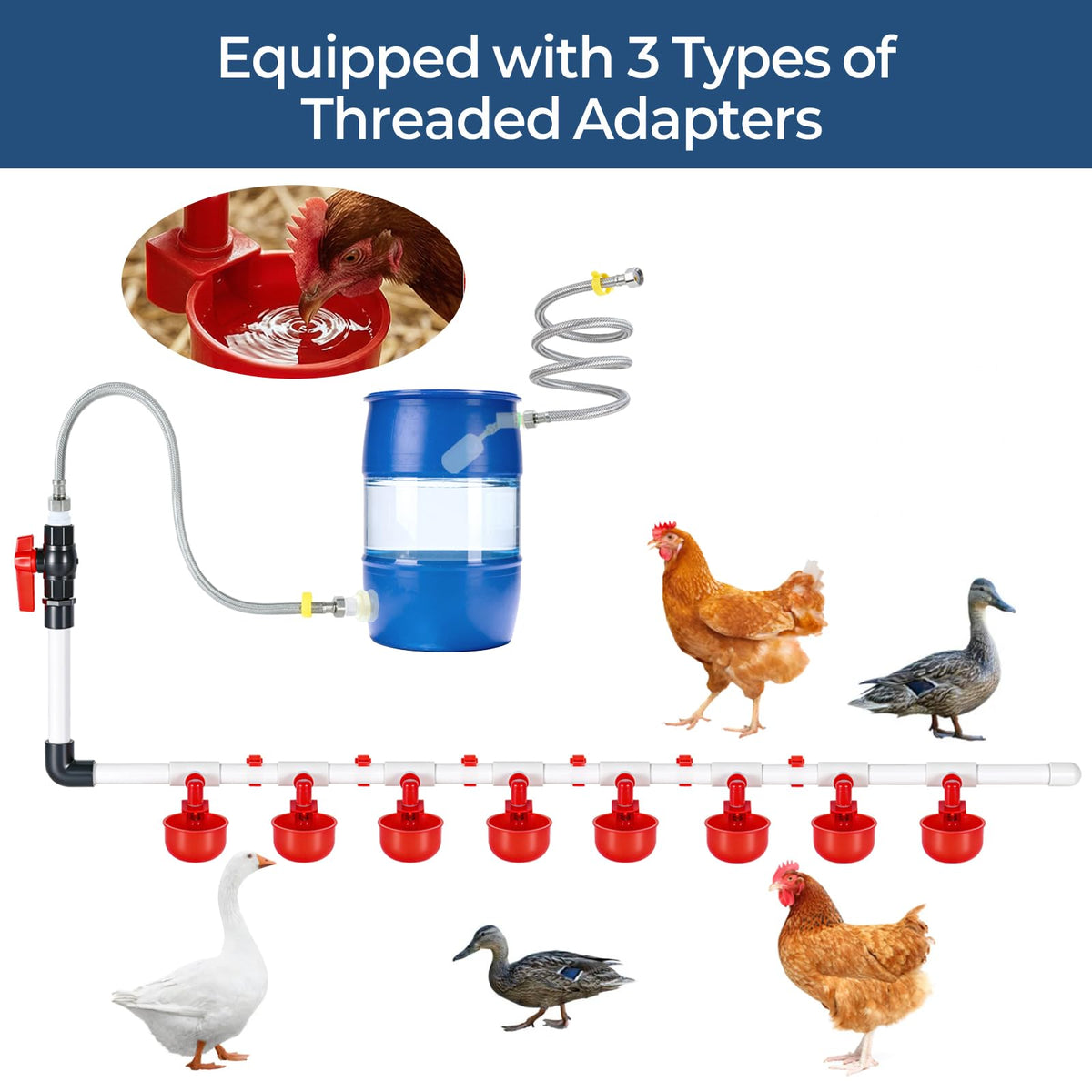 MicMingle suitable for chickens ducks quail and geese in small backyard coops