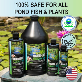 MICROBE-LIFT Algaway 5.4 targets algae to keep pond water clear