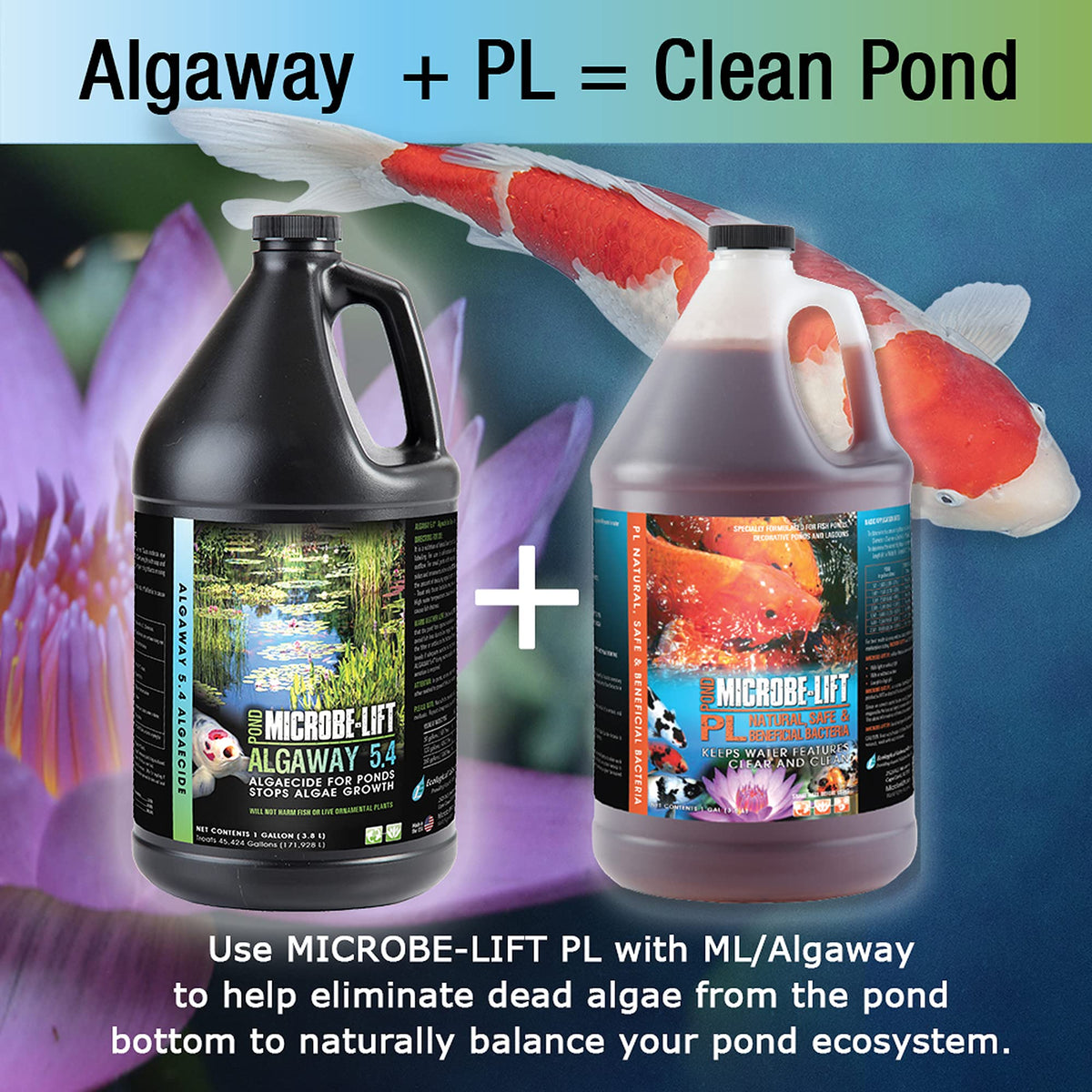 MICROBE-LIFT Algaway 5.4 fits into a complete pond-care system for healthier water