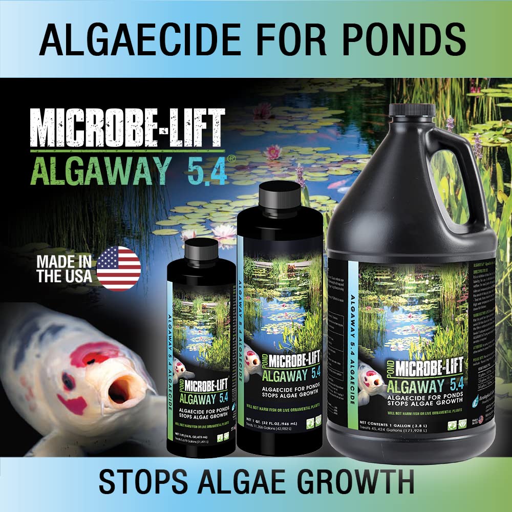 MICROBE-LIFT Algaway 5.4 pond water after treatment appears crystal clear