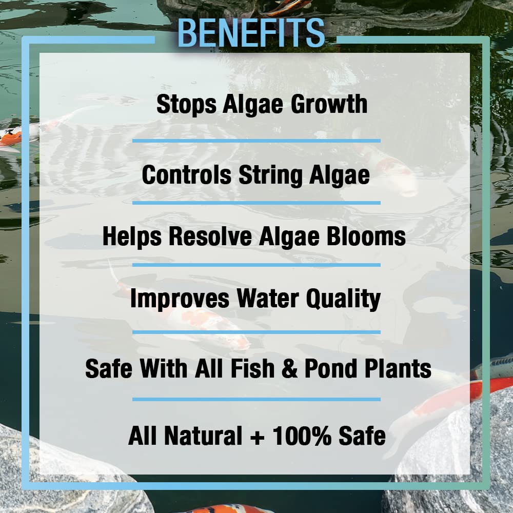 MICROBE-LIFT Algaway 5.4 safe for koi and plants during application