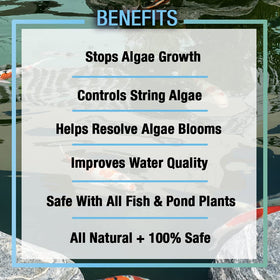 MICROBE-LIFT Algaway 5.4 safe for koi and plants during application