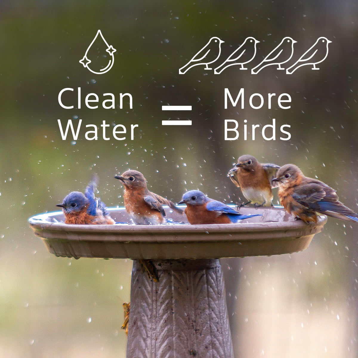 Microbe-Lift Bird Bath Stain Prevention highlights longer-lasting bath surfaces.