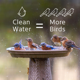 Microbe-Lift Bird Bath Stain Prevention highlights longer-lasting bath surfaces.